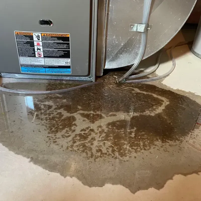 Appliance Leak Cleanup in Westfield, NY